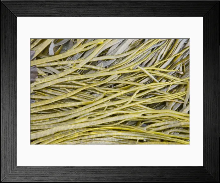 Framed Print : Picture No. 10883290 Framed Print : Picture No. 10883290