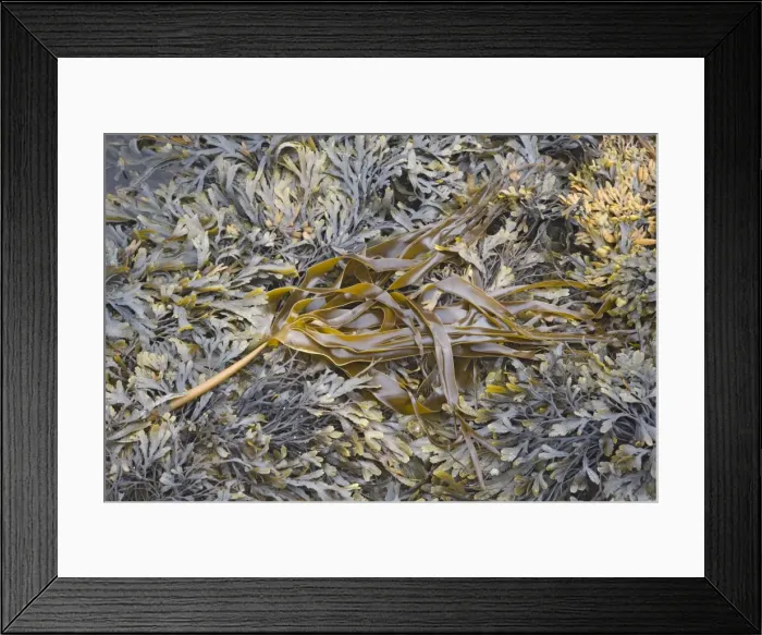 Framed Print : Picture No. 10883291 Framed Print : Picture No. 10883291
