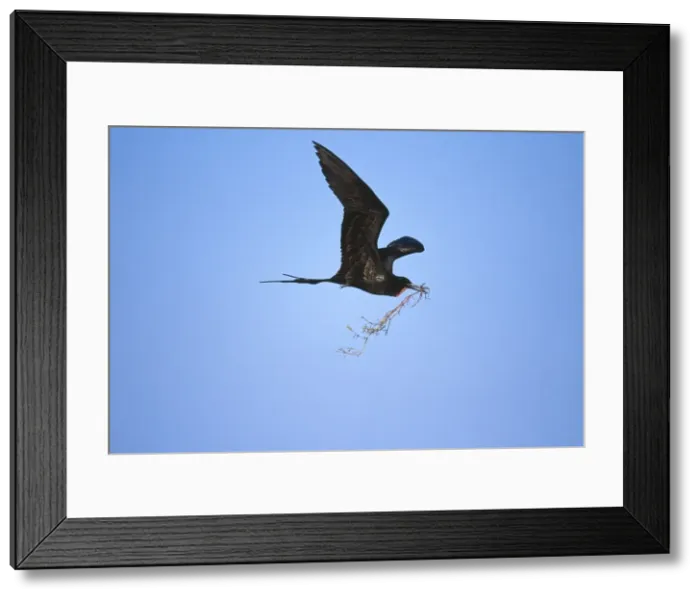 Framed Print : Picture No. 10883302 Framed Print : Picture No. 10883302