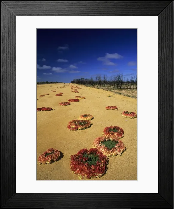 Framed Print : Picture No. 10883368 Framed Print : Picture No. 10883368