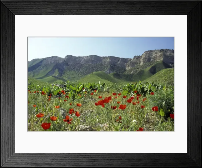Framed Print : Picture No. 10883482 Framed Print : Picture No. 10883482