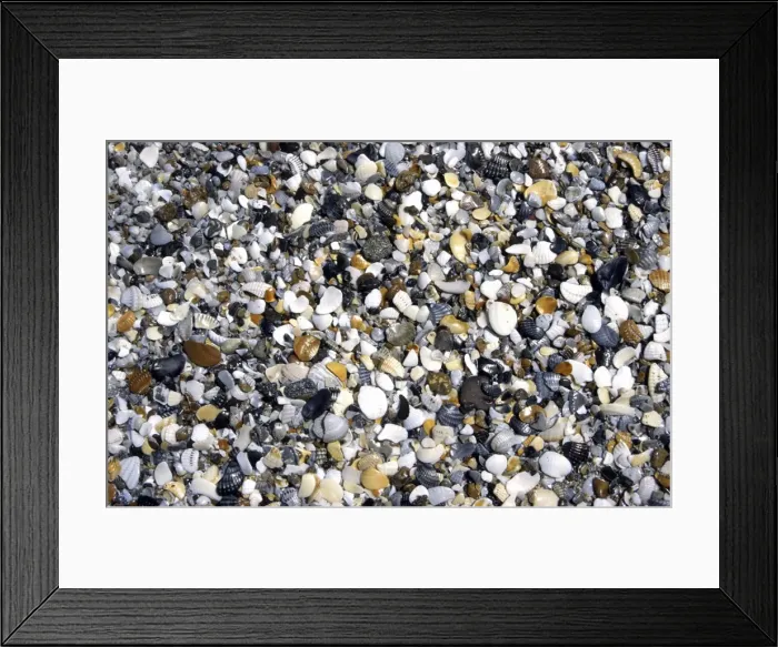 Framed Print : Picture No. 10883486 Framed Print : Picture No. 10883486