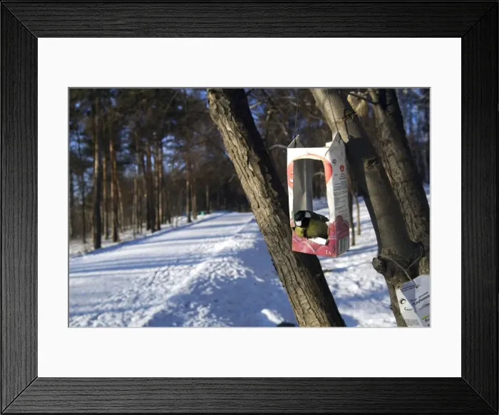 Framed Print : Picture No. 10883504 Framed Print : Picture No. 10883504