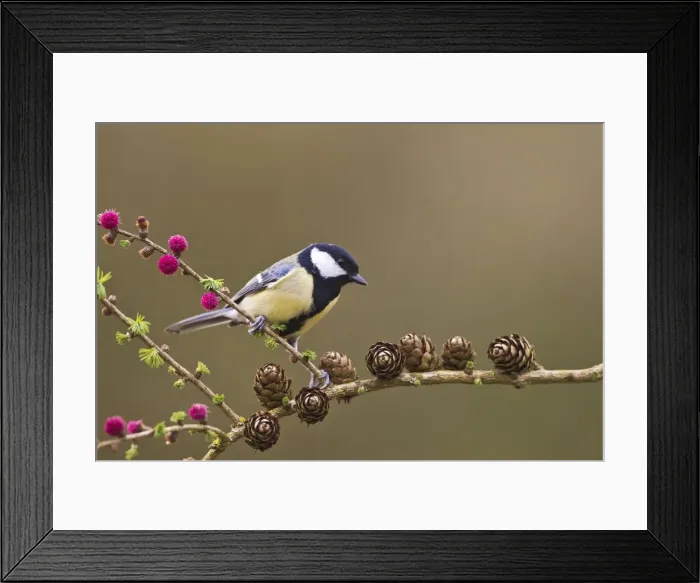 Framed Print : Picture No. 10883520 Framed Print : Picture No. 10883520