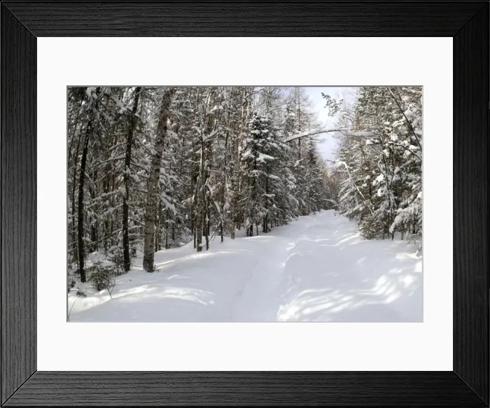Framed Print : Picture No. 10883508 Framed Print : Picture No. 10883508