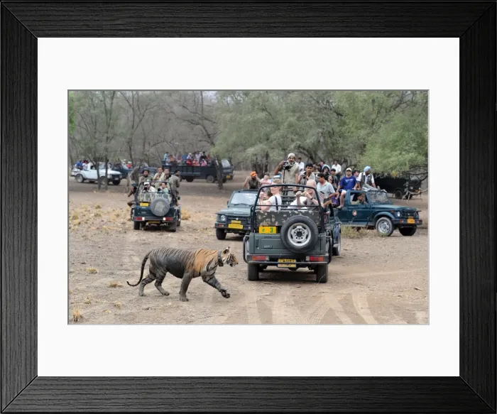 Framed Print : Picture No. 10883582 Framed Print : Picture No. 10883582