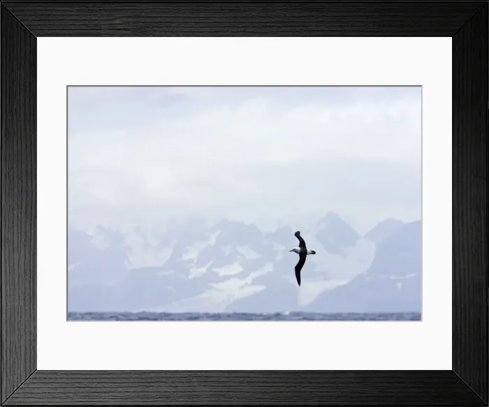 Framed Print : Picture No. 10883592 Framed Print : Picture No. 10883592