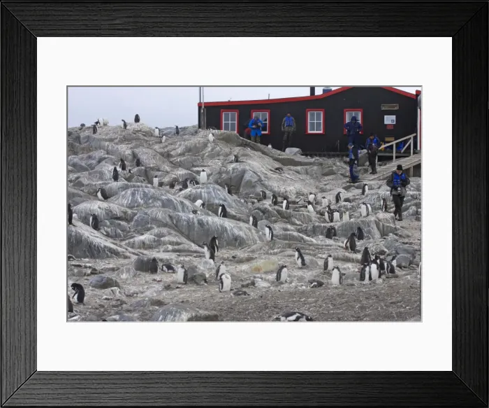 Framed Print : Picture No. 10883610 Framed Print : Picture No. 10883610
