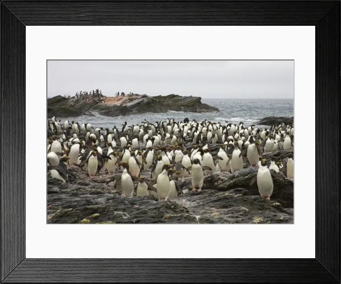 Framed Print : Picture No. 10883611 Framed Print : Picture No. 10883611