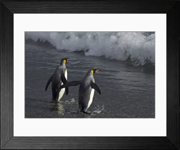 Framed Print : Picture No. 10883620 Framed Print : Picture No. 10883620