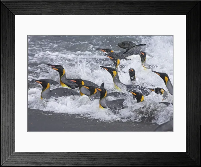 Framed Print : Picture No. 10883621 Framed Print : Picture No. 10883621