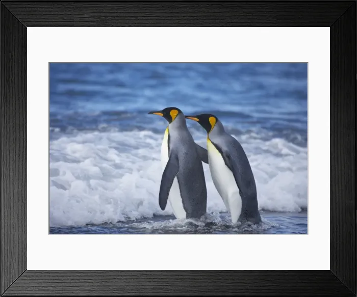 Framed Print : Picture No. 10883624 Framed Print : Picture No. 10883624