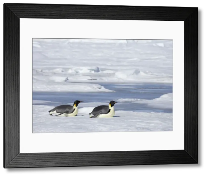 Framed Print : Picture No. 10883637 Framed Print : Picture No. 10883637