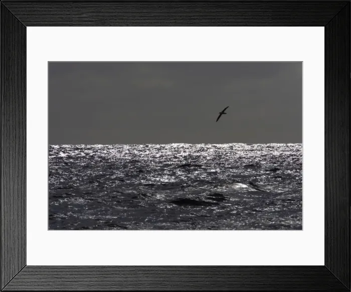 Framed Print : Picture No. 10883642 Framed Print : Picture No. 10883642