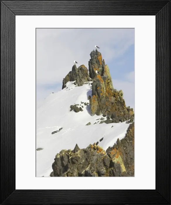 Framed Print : Picture No. 10883656 Framed Print : Picture No. 10883656