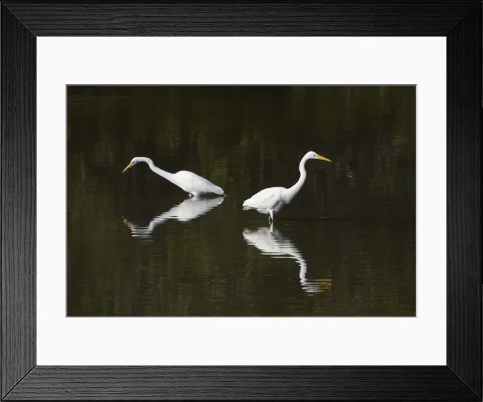 Framed Print : Picture No. 10883663 Framed Print : Picture No. 10883663