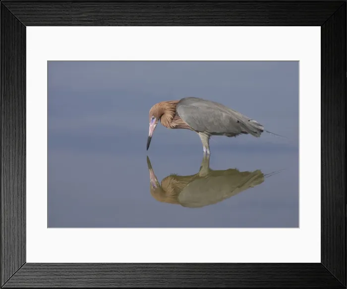 Framed Print : Picture No. 10883667 Framed Print : Picture No. 10883667