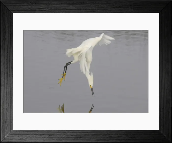 Framed Print : Picture No. 10883670 Framed Print : Picture No. 10883670