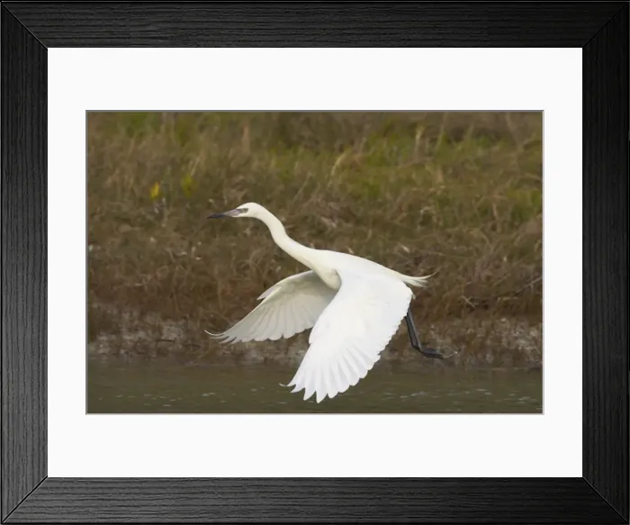 Framed Print : Picture No. 10883669 Framed Print : Picture No. 10883669