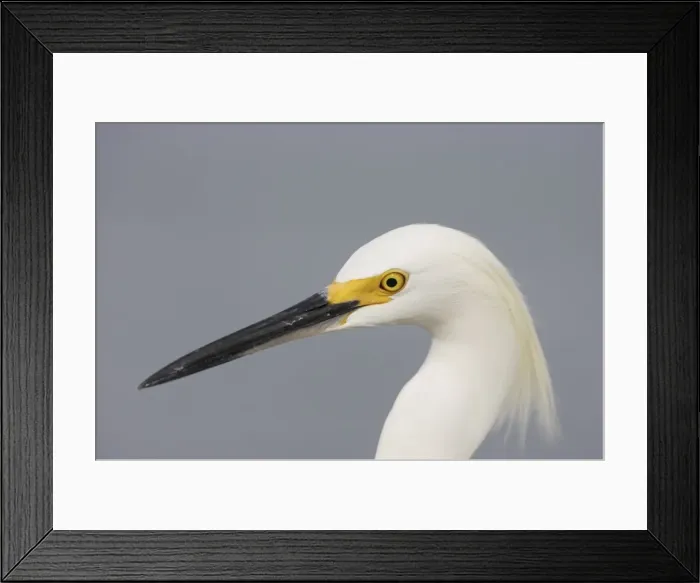 Framed Print : Picture No. 10883672 Framed Print : Picture No. 10883672