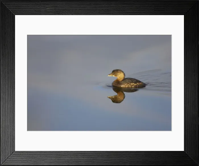Framed Print : Picture No. 10883674 Framed Print : Picture No. 10883674
