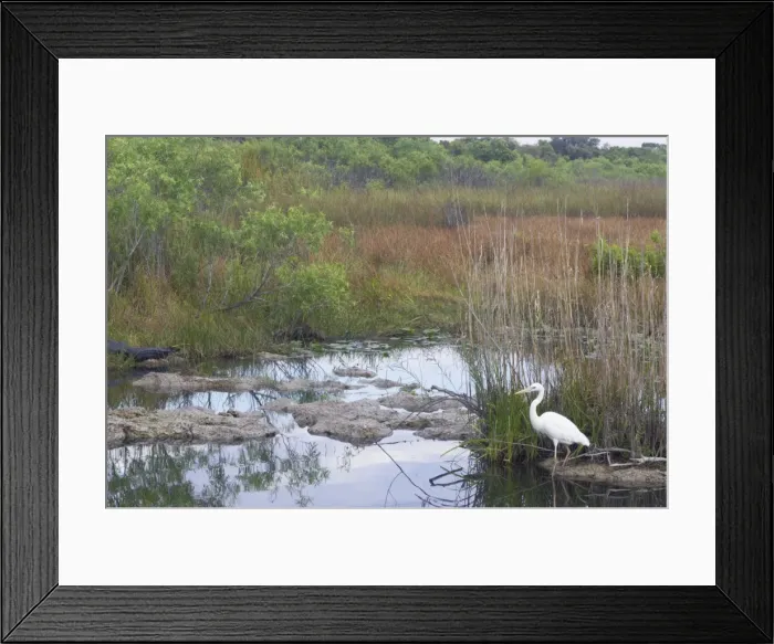 Framed Print : Picture No. 10883677