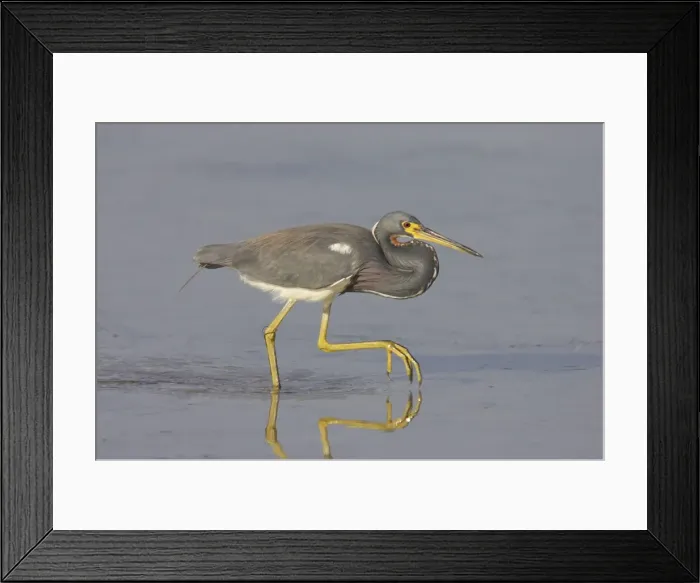 Framed Print : Picture No. 10883684 Framed Print : Picture No. 10883684