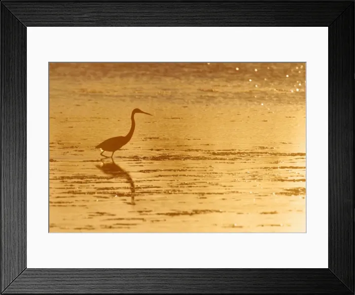 Framed Print : Picture No. 10883685 Framed Print : Picture No. 10883685