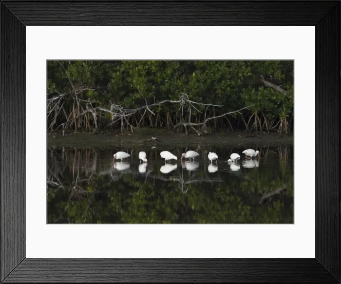 Framed Print : Picture No. 10883688 Framed Print : Picture No. 10883688