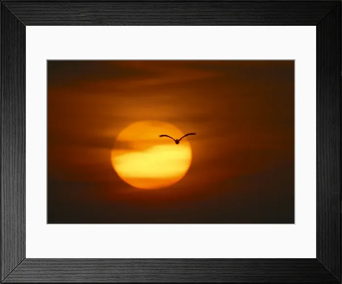 Framed Print : Picture No. 10883694 Framed Print : Picture No. 10883694