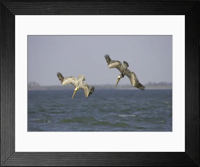 Framed Print : Picture No. 10883695 Framed Print : Picture No. 10883695