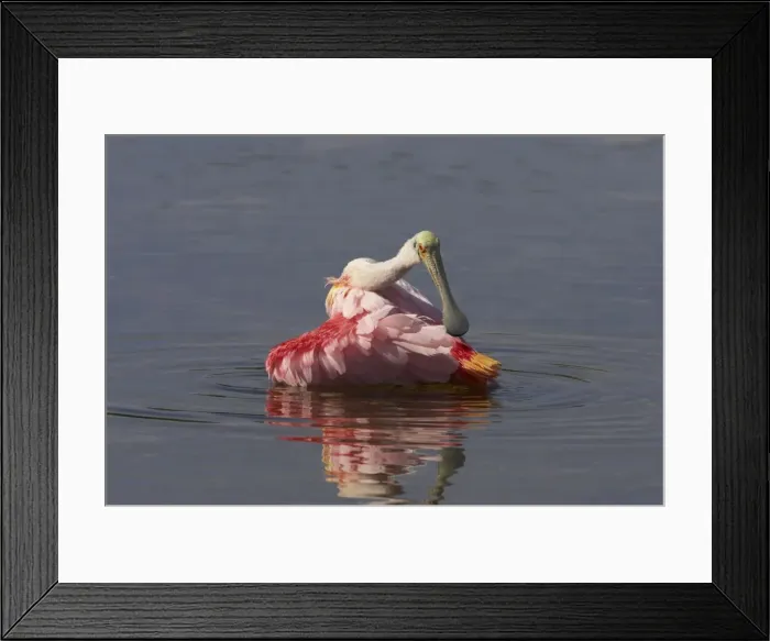 Framed Print : Picture No. 10883708 Framed Print : Picture No. 10883708