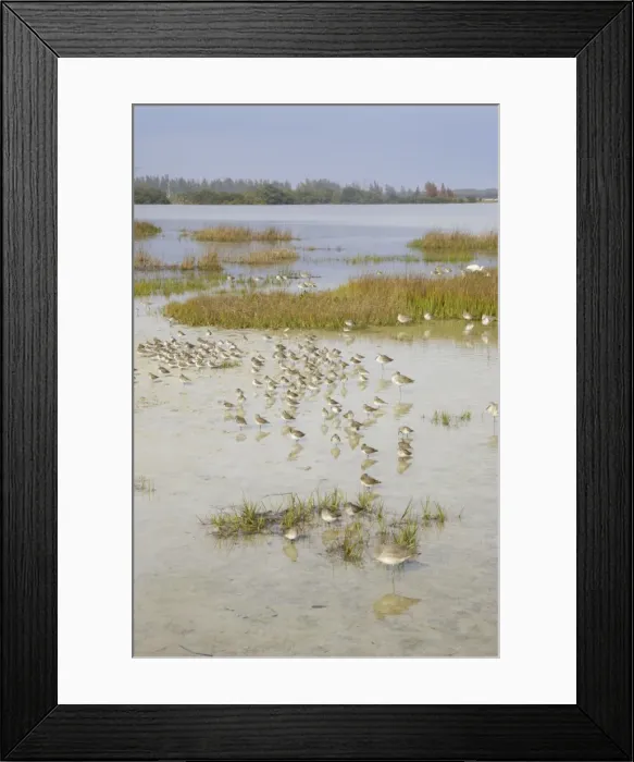 Framed Print : Picture No. 10883717 Framed Print : Picture No. 10883717