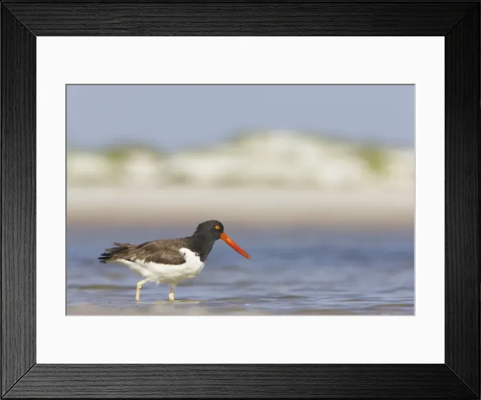 Framed Print : Picture No. 10883727 Framed Print : Picture No. 10883727