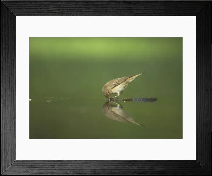 Framed Print : Picture No. 10883748 Framed Print : Picture No. 10883748