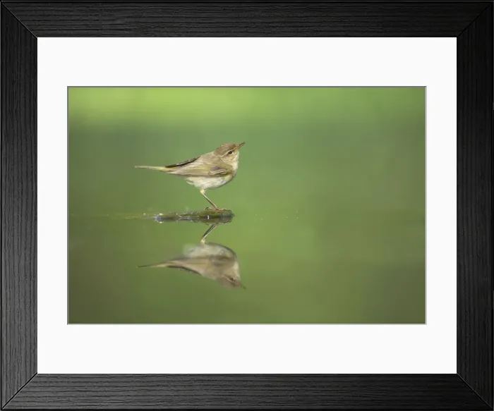 Framed Print : Picture No. 10883747 Framed Print : Picture No. 10883747