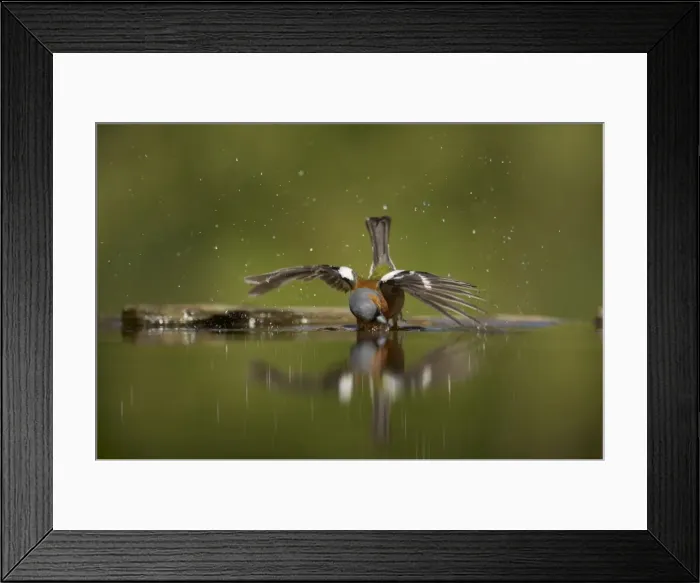 Framed Print : Picture No. 10883745 Framed Print : Picture No. 10883745