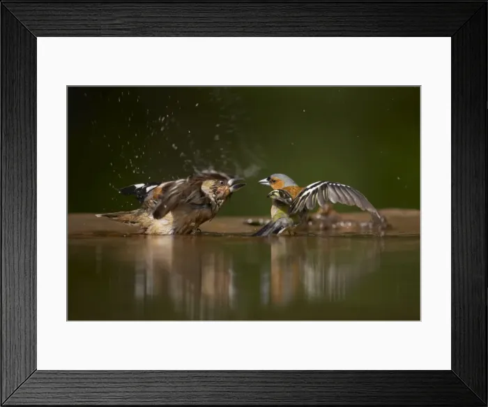 Framed Print : Picture No. 10883758 Framed Print : Picture No. 10883758