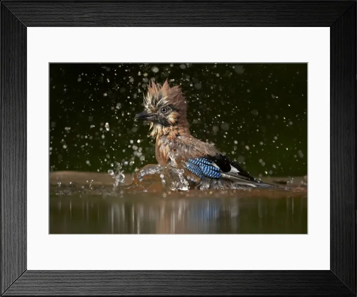 Framed Print : Picture No. 10883762 Framed Print : Picture No. 10883762