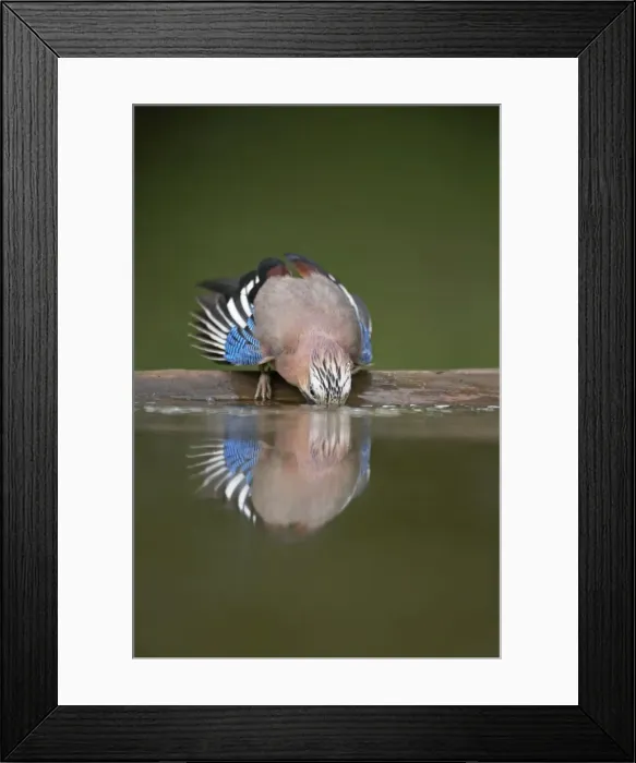 Framed Print : Picture No. 10883759 Framed Print : Picture No. 10883759