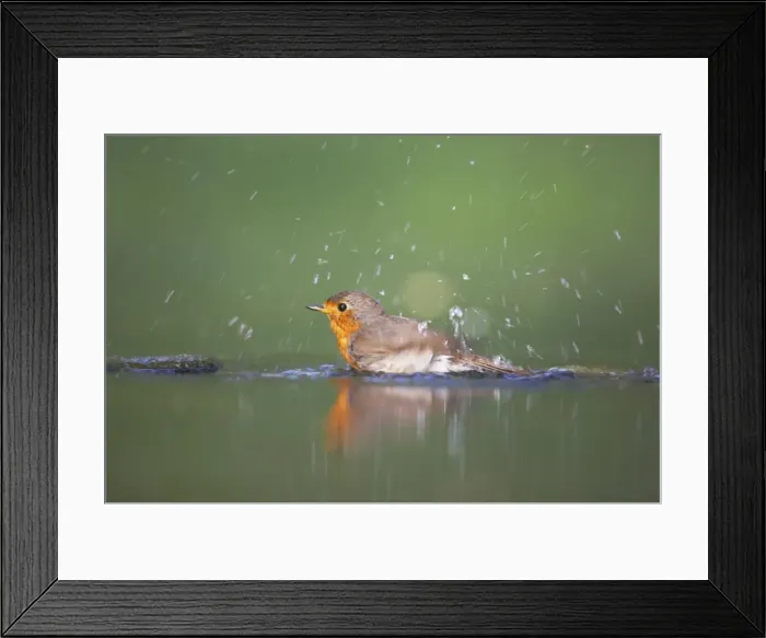 Framed Print : Picture No. 10883770 Framed Print : Picture No. 10883770