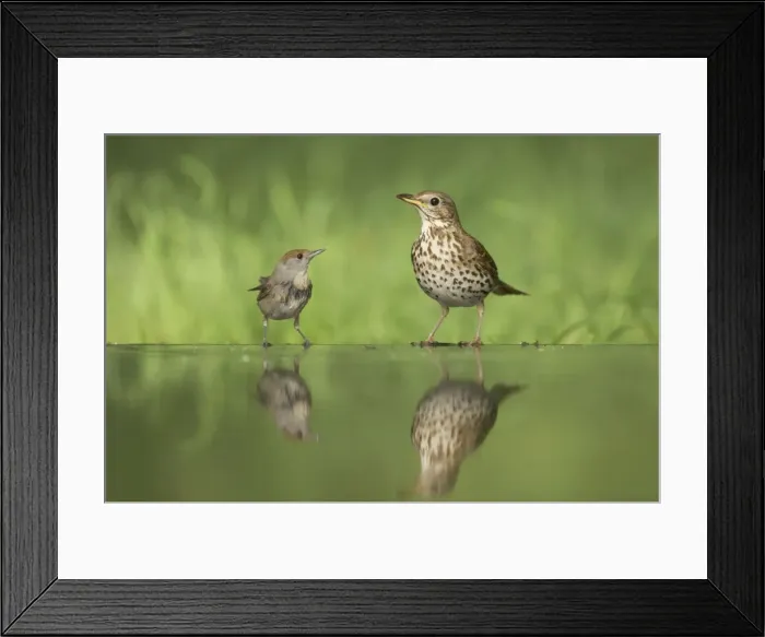 Framed Print : Picture No. 10883782 Framed Print : Picture No. 10883782