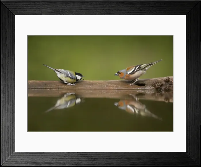 Framed Print : Picture No. 10883785 Framed Print : Picture No. 10883785