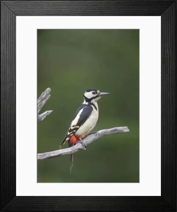Framed Print : Picture No. 10883798 Framed Print : Picture No. 10883798