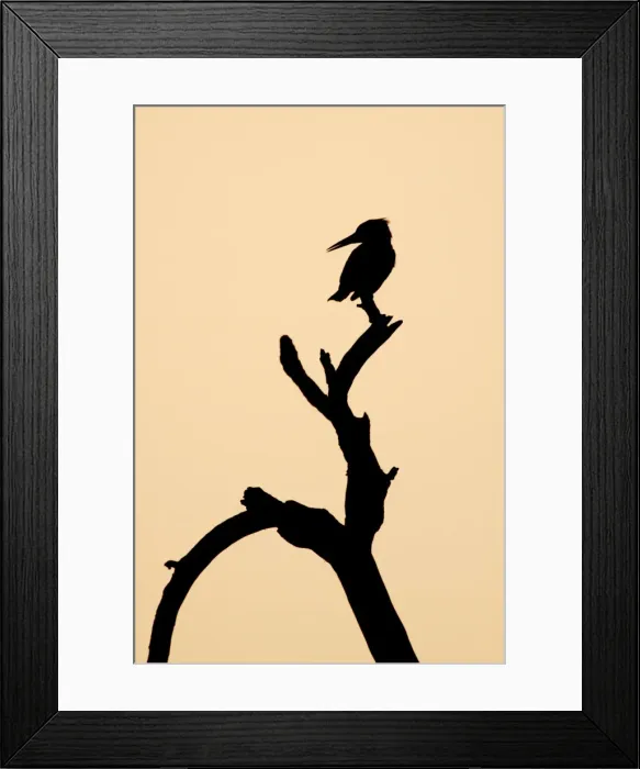 Framed Print : Picture No. 10883807 Framed Print : Picture No. 10883807