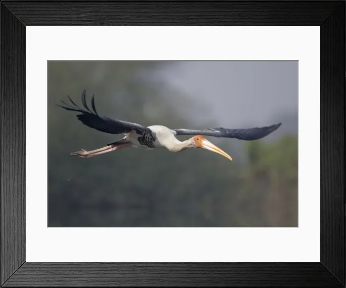 Framed Print : Picture No. 10883825 Framed Print : Picture No. 10883825