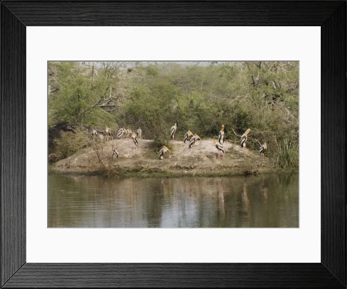 Framed Print : Picture No. 10883829 Framed Print : Picture No. 10883829