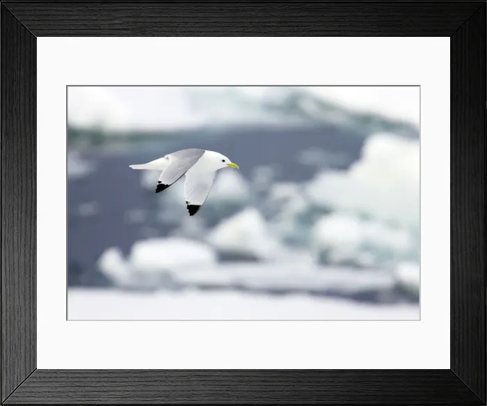 Framed Print : Picture No. 10883847 Framed Print : Picture No. 10883847