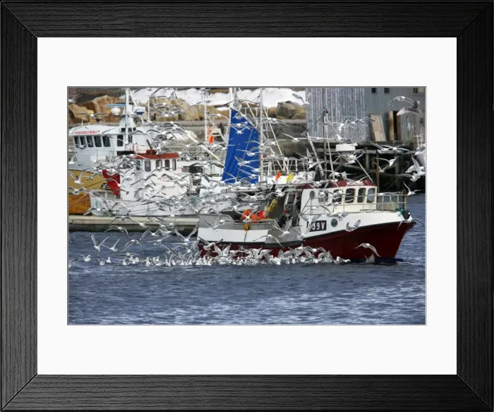 Framed Print : Picture No. 10883876 Framed Print : Picture No. 10883876
