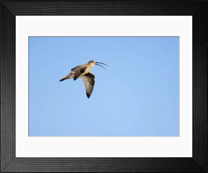 Framed Print : Picture No. 10883897 Framed Print : Picture No. 10883897